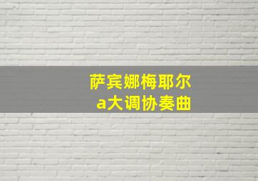 萨宾娜梅耶尔 a大调协奏曲